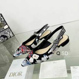 Picture of Dior Shoes _SKUDiorsz35-40SD06023418